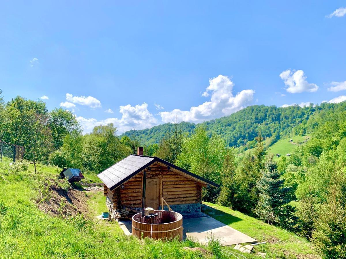 Conacul Drahneilor Hotell Ruscova Exteriör bild
